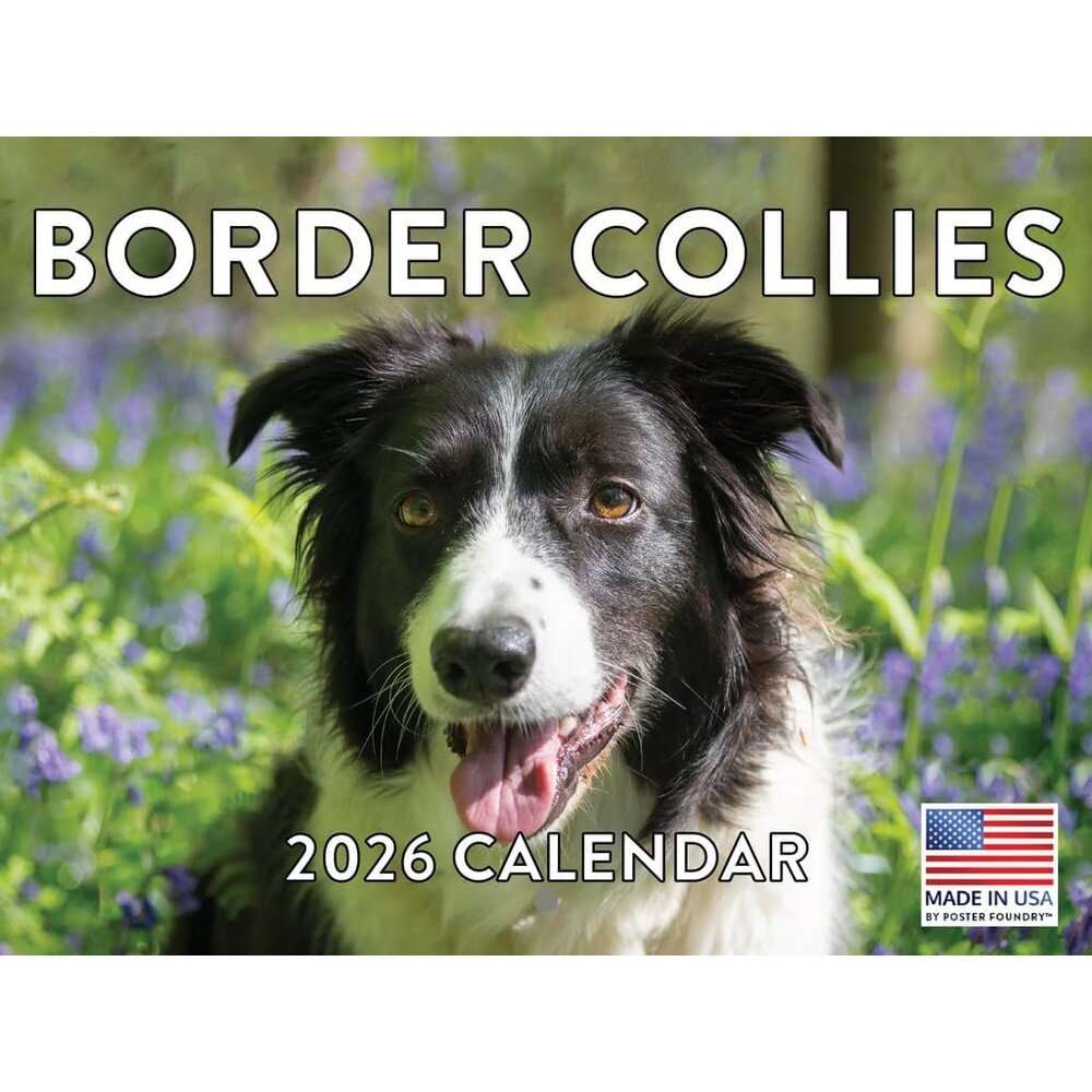 Border Collie Calendar 2026 Wall 12 Month Monthly Border Collies Gifts For Borde